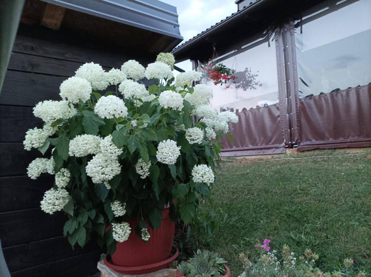 M&S&N Daire Grabovac  Dış mekan fotoğraf