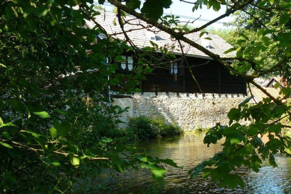 M&S&N Daire Grabovac  Oda fotoğraf