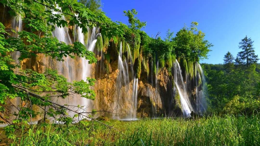 M&S&N Daire Grabovac  Oda fotoğraf