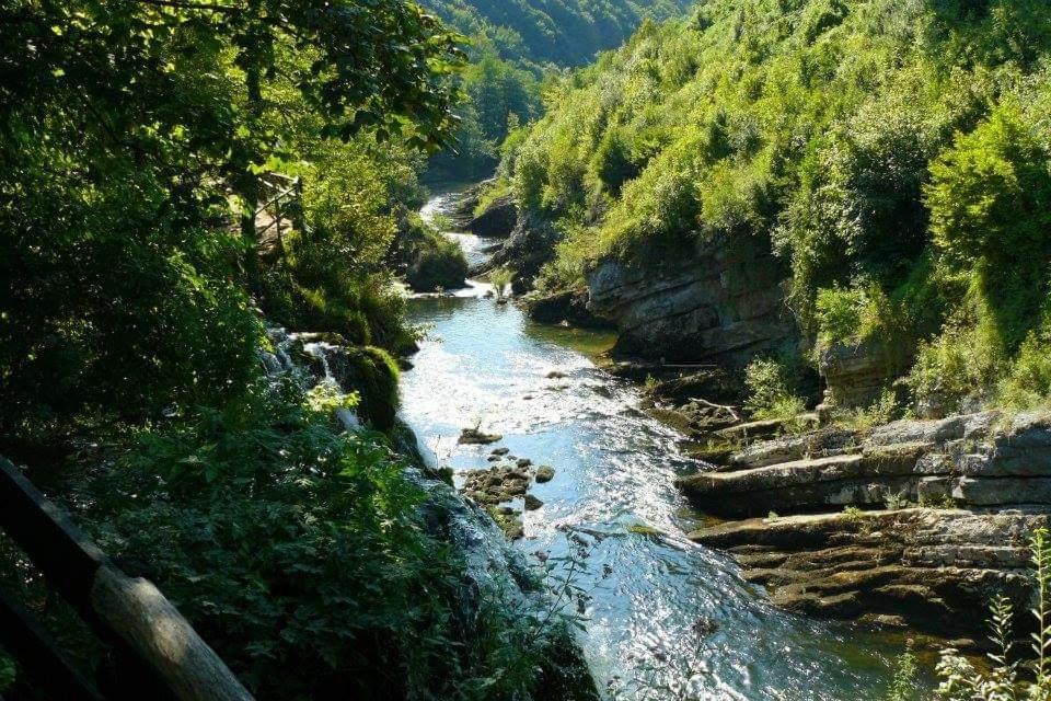 M&S&N Daire Grabovac  Oda fotoğraf