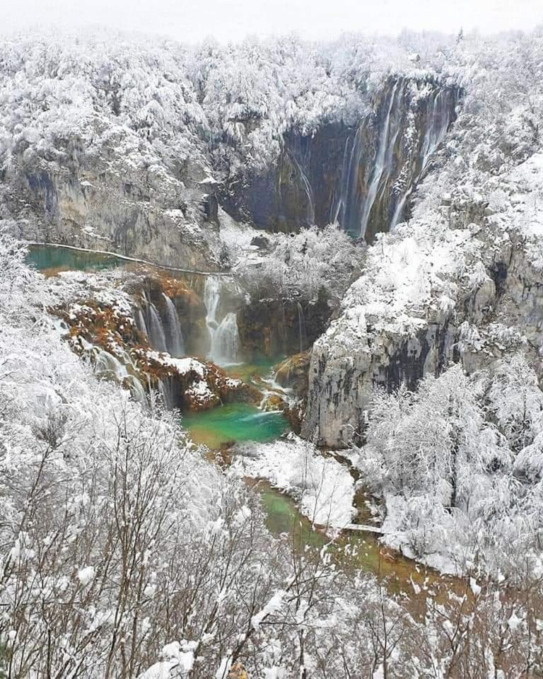 M&S&N Daire Grabovac  Oda fotoğraf
